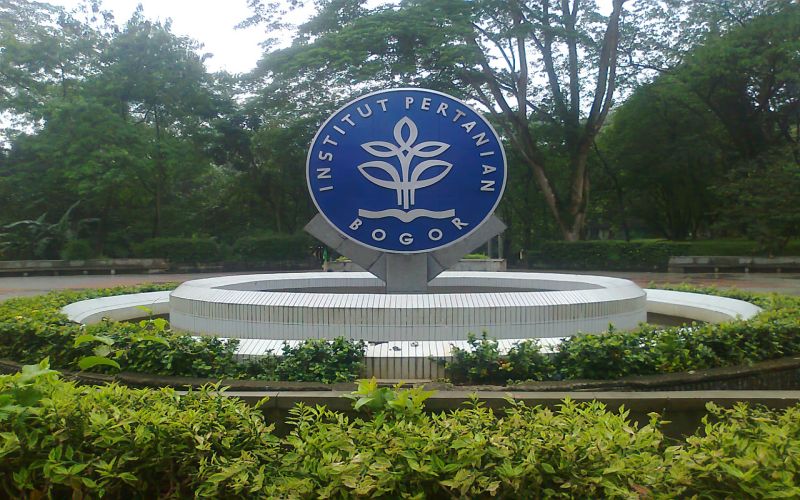 Beasiswa IPB: Panduan Lengkap Beasiswa untuk Mahasiswa Aktif